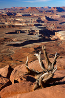 American Southwest