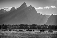 American West