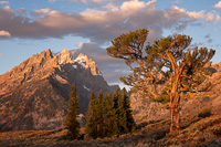 American West