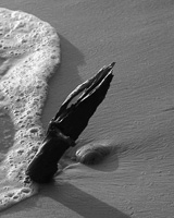 Natural Abstractions