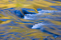 Natural Abstractions